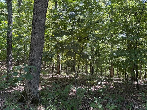 5.49 Acres T Warren, Warrenton, MO 63383