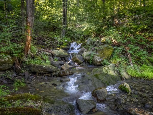 Old Plank Road , Cragsmoor, NY 12420