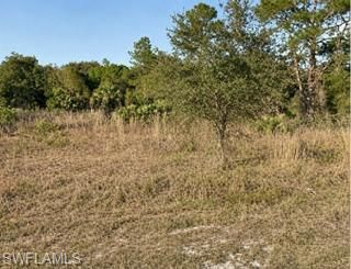 7933 15th Ter, Labelle, FL 33935 Main Photo