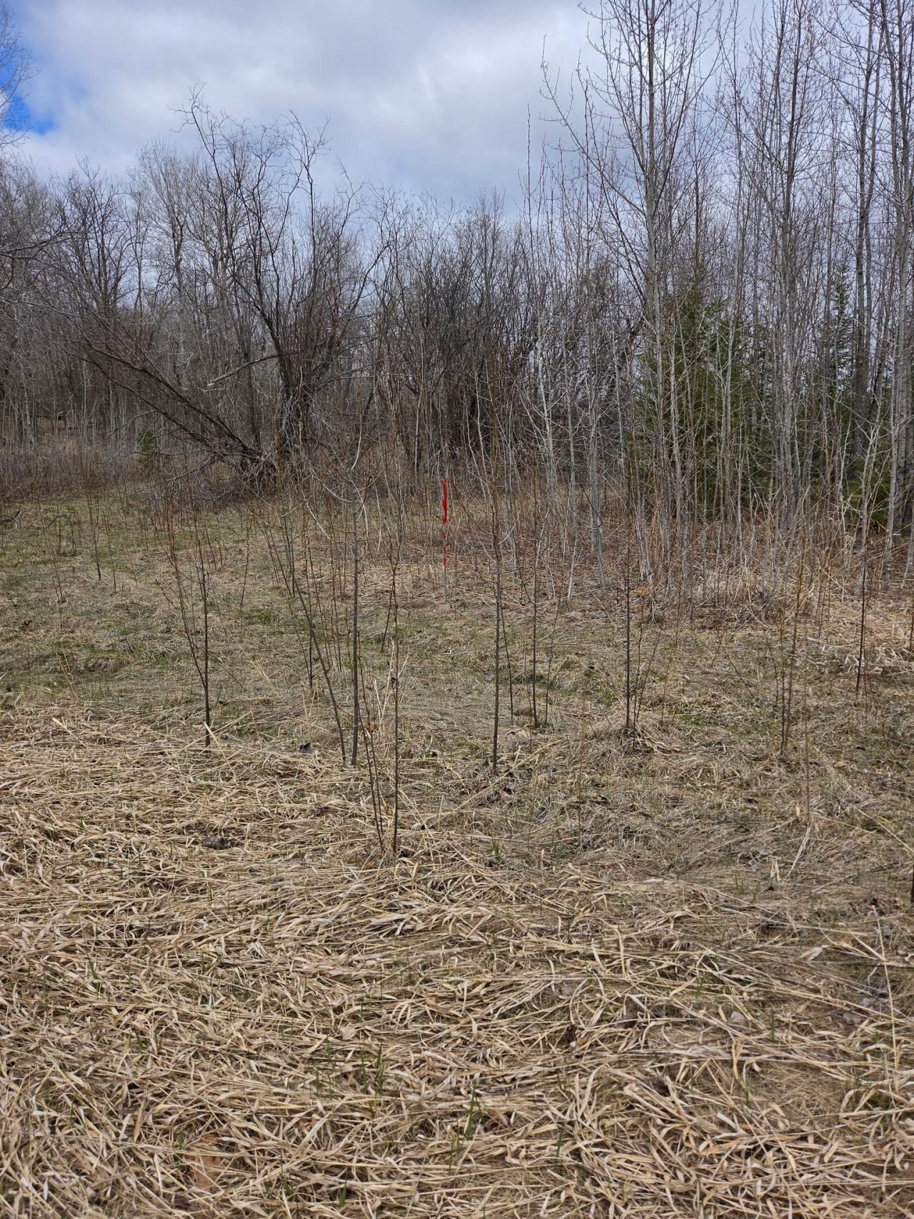 Tbd Rolland Road, Cohasset, MN 55721 Main Photo