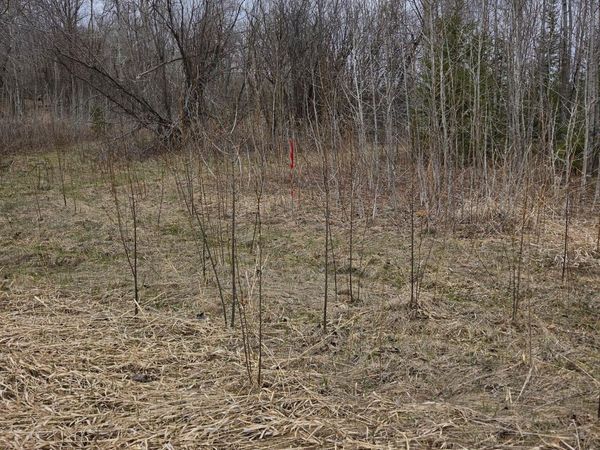 TBD Rolland Road, Cohasset, MN 55721