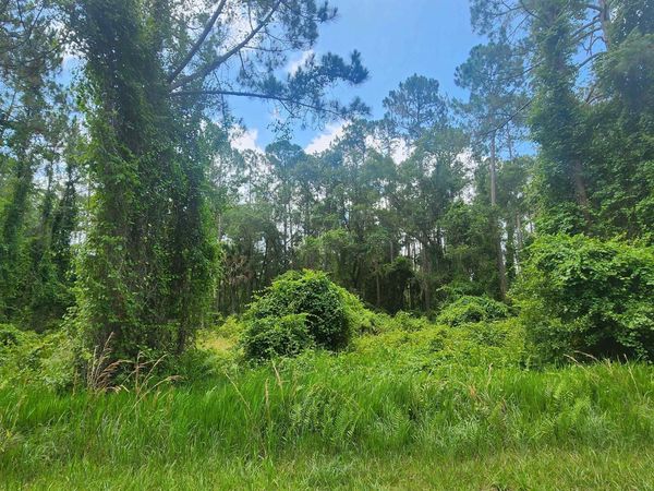 123 2Nd St, Georgetown, FL 32139