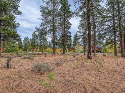 13058 Lookout Loop , Truckee, CA 96161 Photo