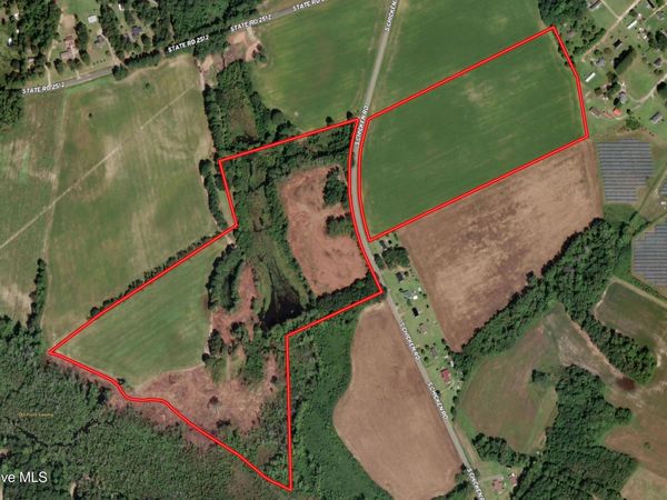 Tbd Chicken Road , Fairmont, NC 28340