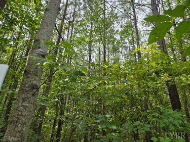 0 Miller Camp Road, Buckingham, VA 23921