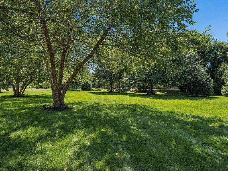 6353 Cragie Hill Court, Dublin, OH 43017 Photo 66