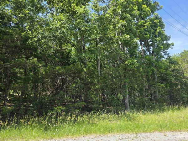 503 & 505 Dove Lane , Horseshoe Bend, AR 72512