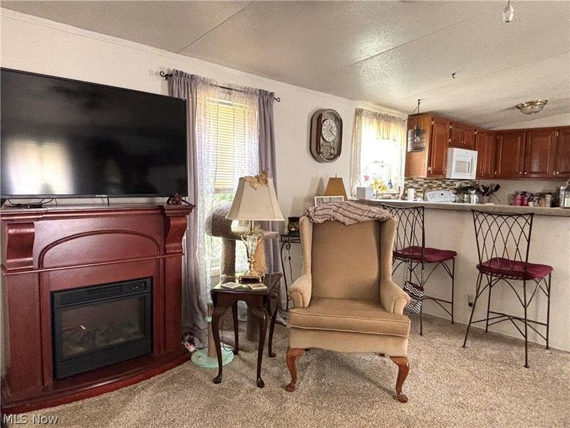 1229 Columbiana-Lisbon Road, Unit 63, Columbiana, OH 44408 Photo 11