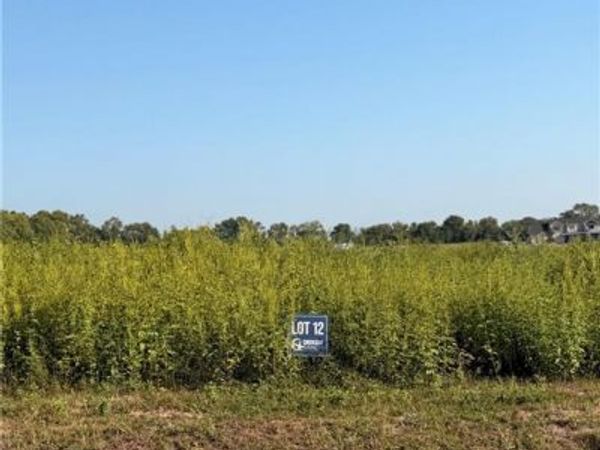 1090 Gore Road, Raymore, MO 64083