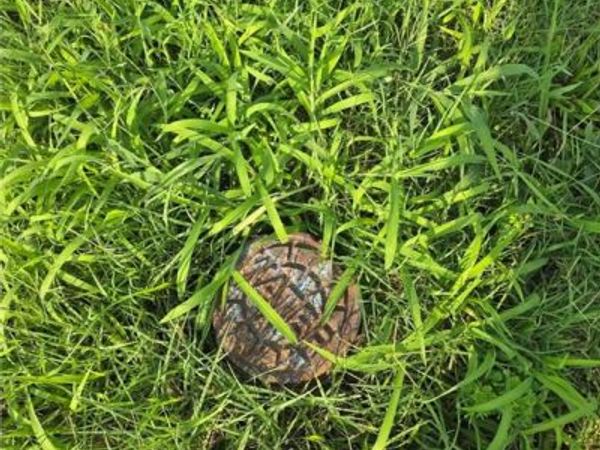 733 Walnut Avenue, Osawatomie, KS 66064