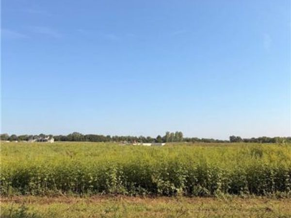 1090 Creekside Ranch Court, Raymore, MO 64083