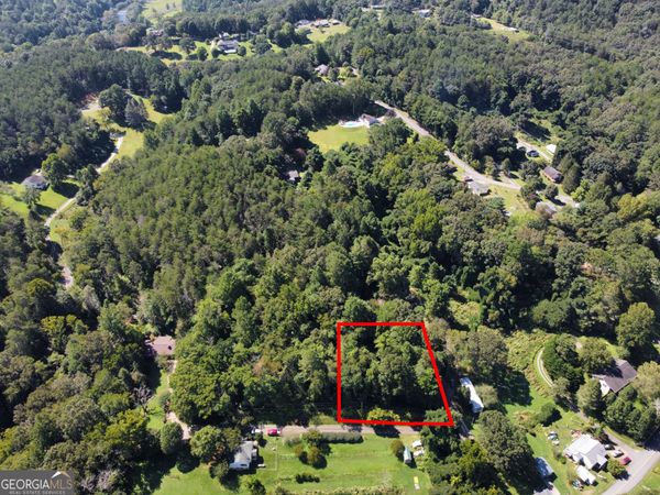 LOT 1 Thurman Street, Unit 1, Mccaysville, GA 30555