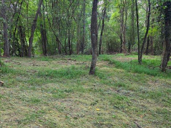 LOT 1 Thurman Street, Unit 1, Mccaysville, GA 30555