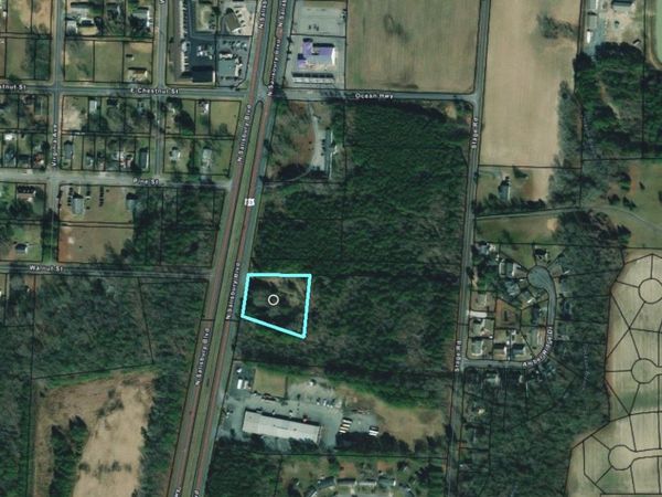 9419 OCEAN HIGHWAY , DELMAR, MD 21875