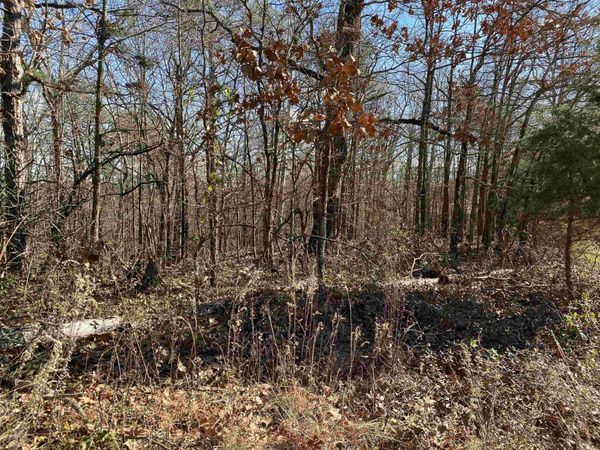 13242 Hwy 163 , Harrisburg, AR 72432