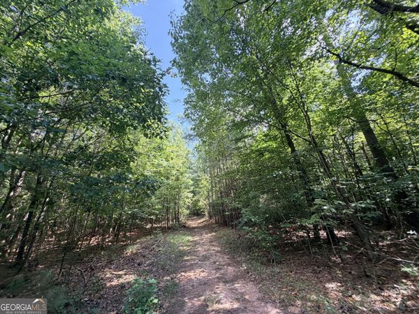 8 Bunch Road, Tignall, GA 30668