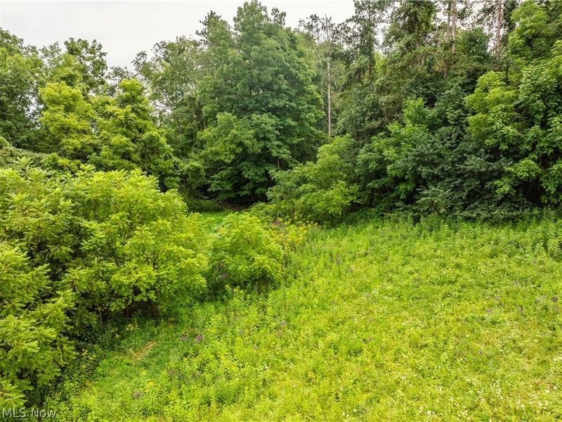 2428 Applegate Road, Lucas, OH 44843 Photo 1