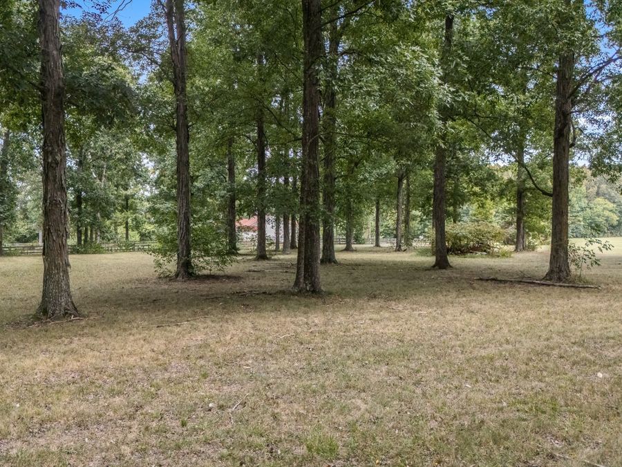 Property Image 70