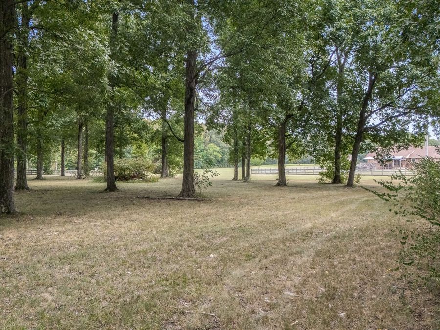 Property Image 71