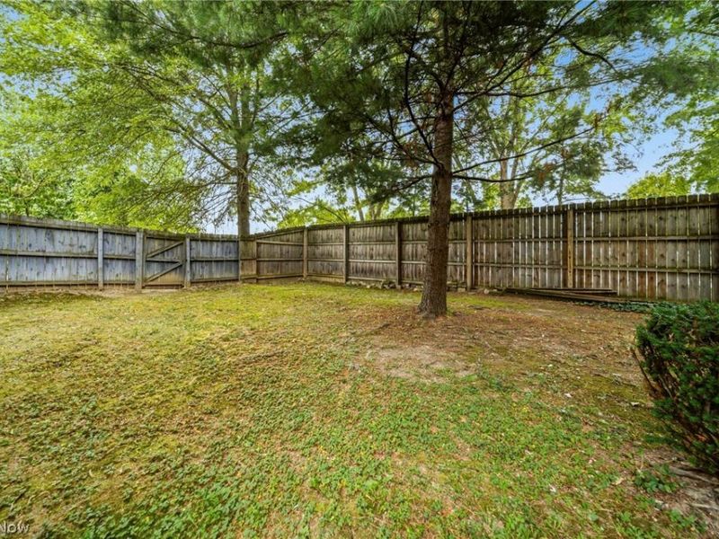 1088 Ashwood Lane, Medina, OH 44256 Photo 44