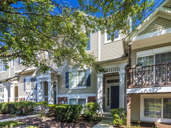 135 Enclave Circle , Unit B, Bolingbrook, IL 60440