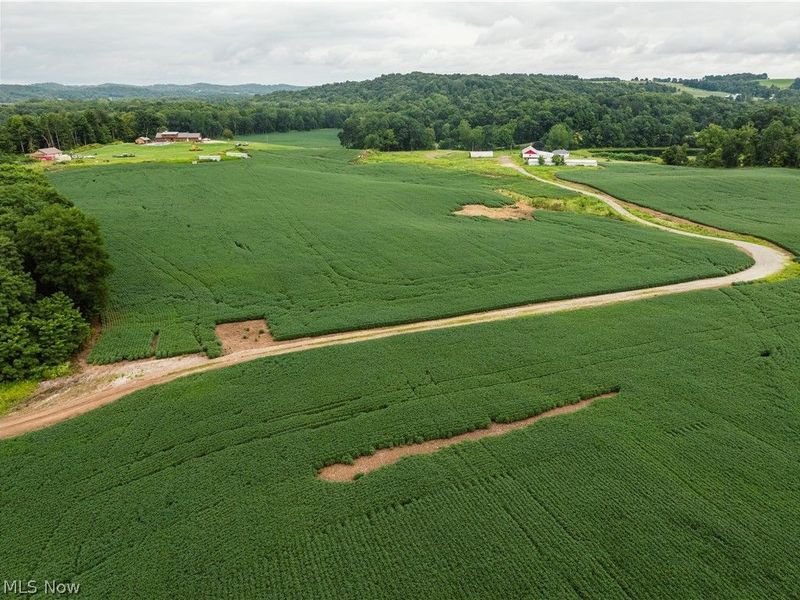 2428 Applegate Road, Lucas, OH 44843 Photo 10
