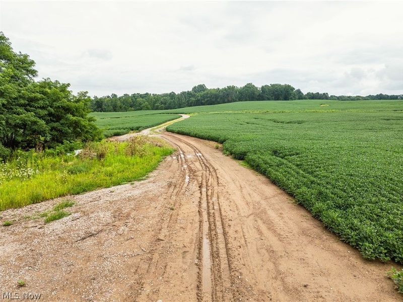 2428 Applegate Road, Lucas, OH 44843 Photo 13