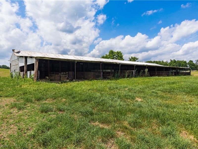 2428 Applegate Road, Lucas, OH 44843 Photo 14