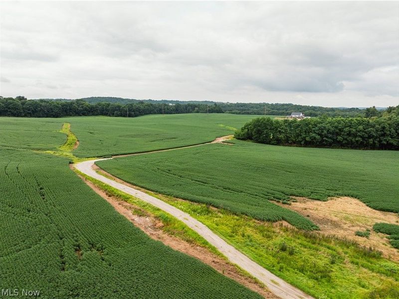 2428 Applegate Road, Lucas, OH 44843 Photo 4