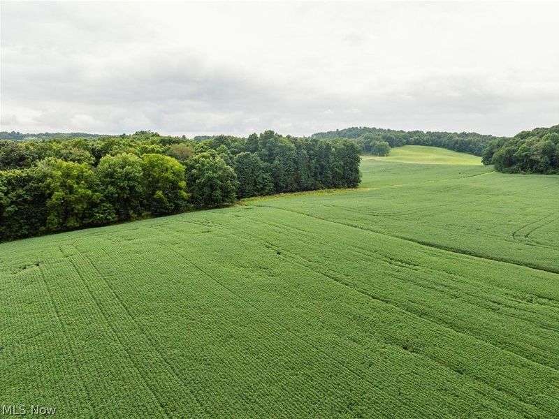 2428 Applegate Road, Lucas, OH 44843 Photo 6