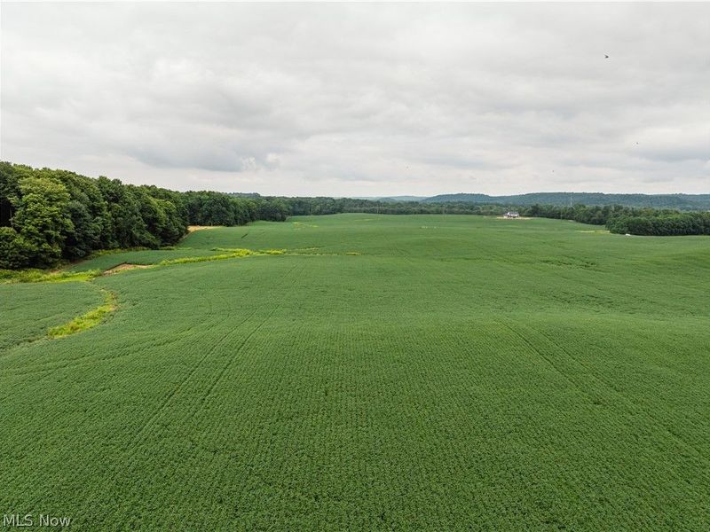 2428 Applegate Road, Lucas, OH 44843 Photo 7