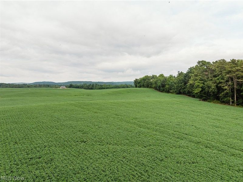 2428 Applegate Road, Lucas, OH 44843 Photo 8