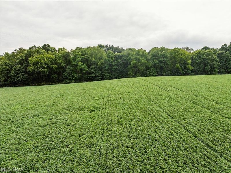 2428 Applegate Road, Lucas, OH 44843 Photo 9