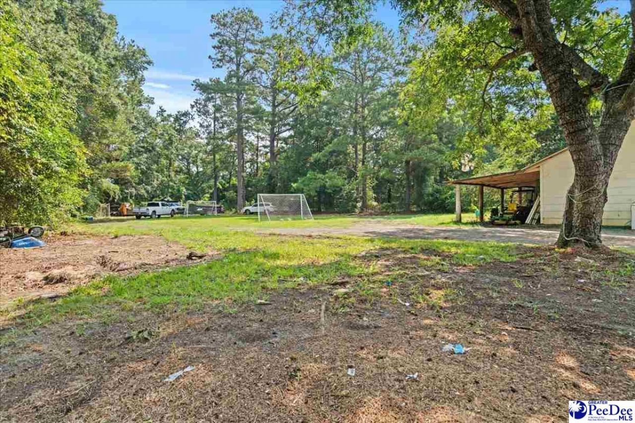 1238 Manorway Dr Photo 44