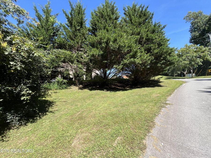 Property Image 37