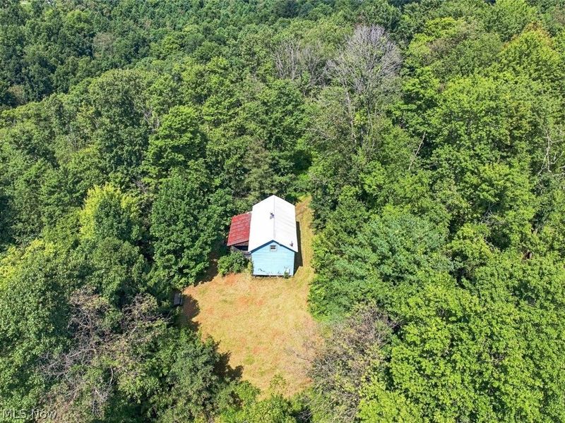45447 Bondi Ridge Road, Woodsfield, OH 43793 Photo 14