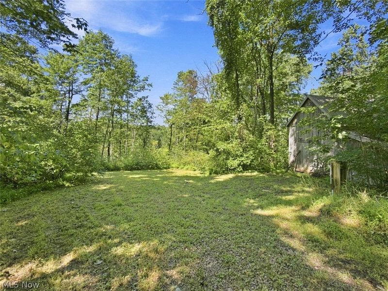 45447 Bondi Ridge Road, Woodsfield, OH 43793 Photo 36