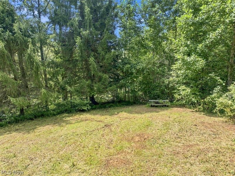 45447 Bondi Ridge Road, Woodsfield, OH 43793 Photo 43
