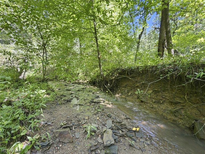45447 Bondi Ridge Road, Woodsfield, OH 43793 Photo 45