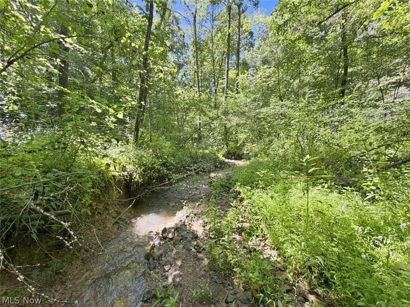 45447 Bondi Ridge Road, Woodsfield, OH 43793 Photo 46