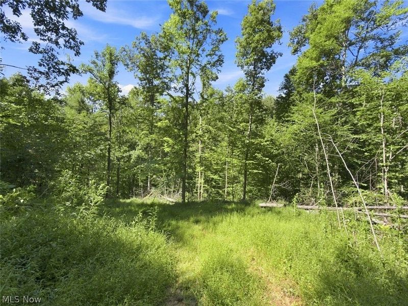 45447 Bondi Ridge Road, Woodsfield, OH 43793 Photo 49