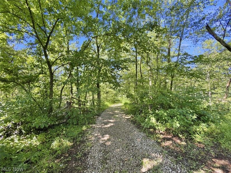 45447 Bondi Ridge Road, Woodsfield, OH 43793 Photo 7
