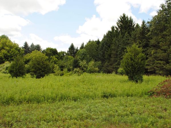 3168 Luna Drive, Dexter, MI 48130