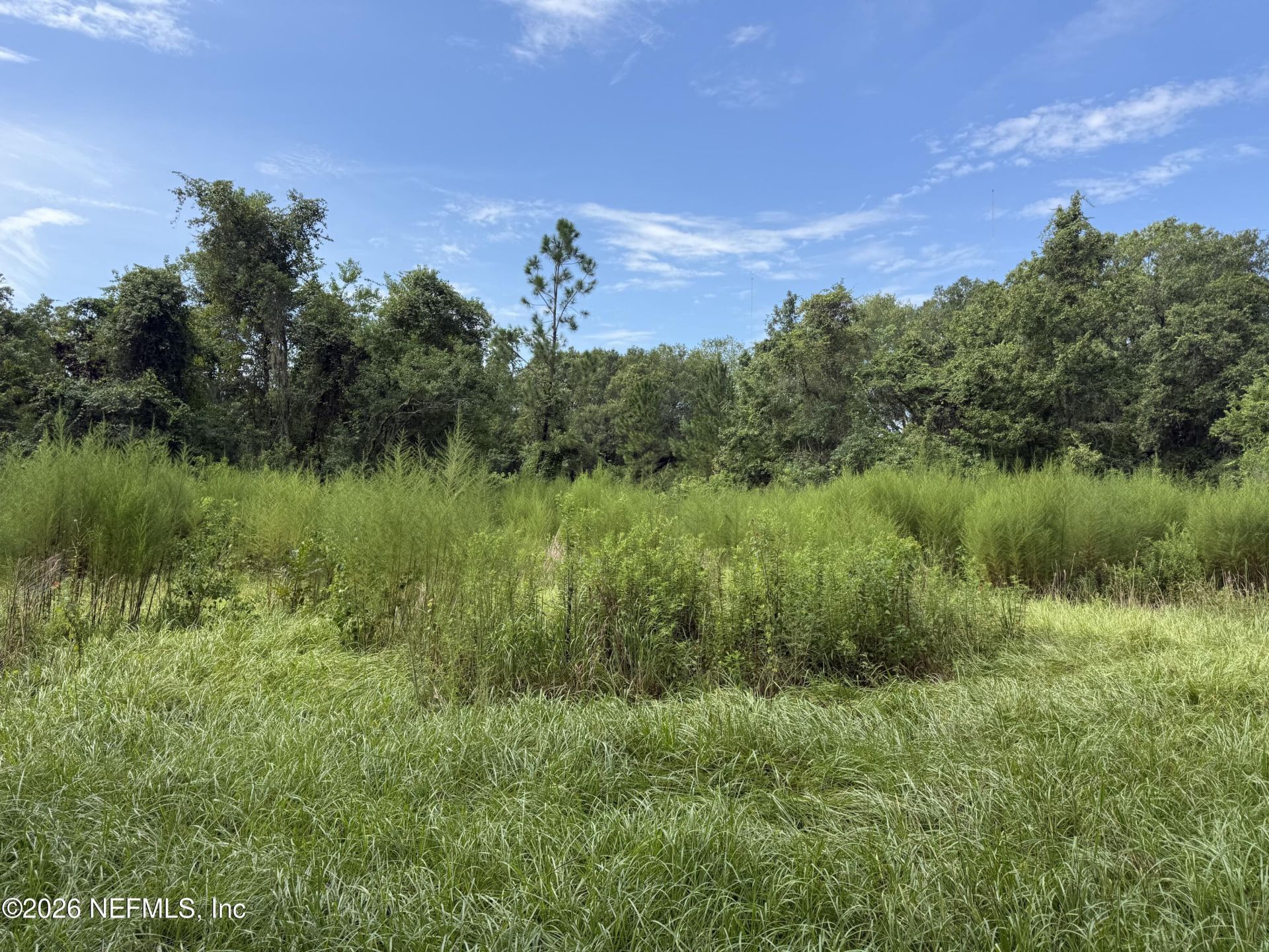 0 W Beaver Street, Jacksonville, FL 32234 Photo