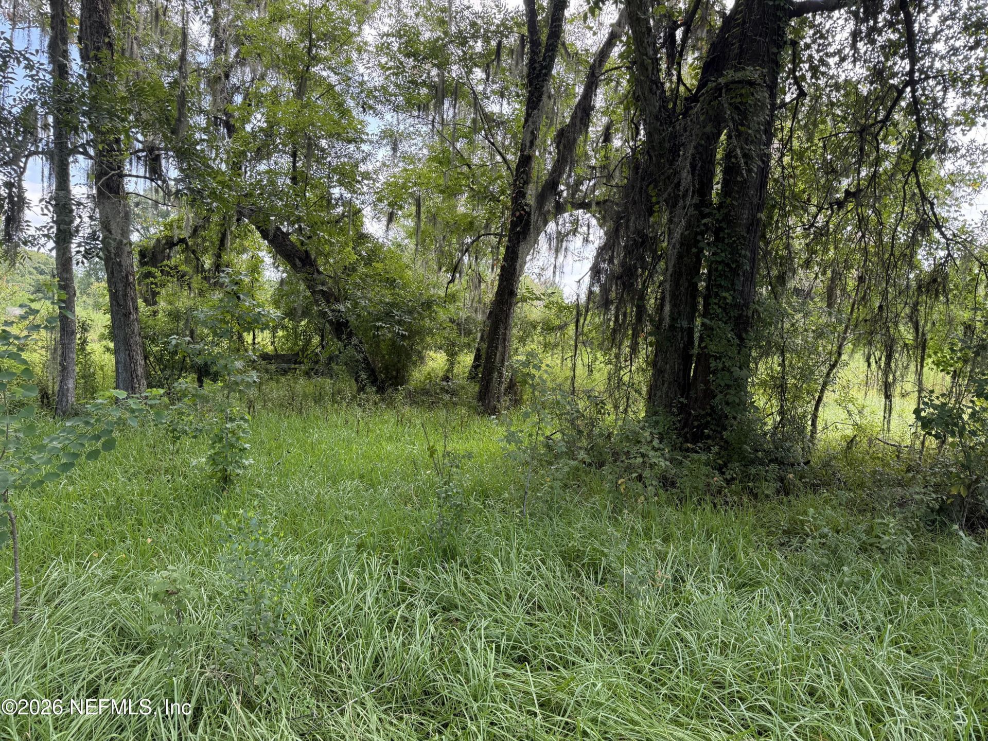 0 W Beaver Street, Jacksonville, FL 32234 Photo