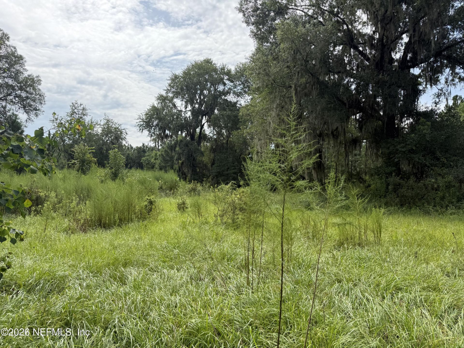 0 W Beaver Street, Jacksonville, FL 32234 Photo