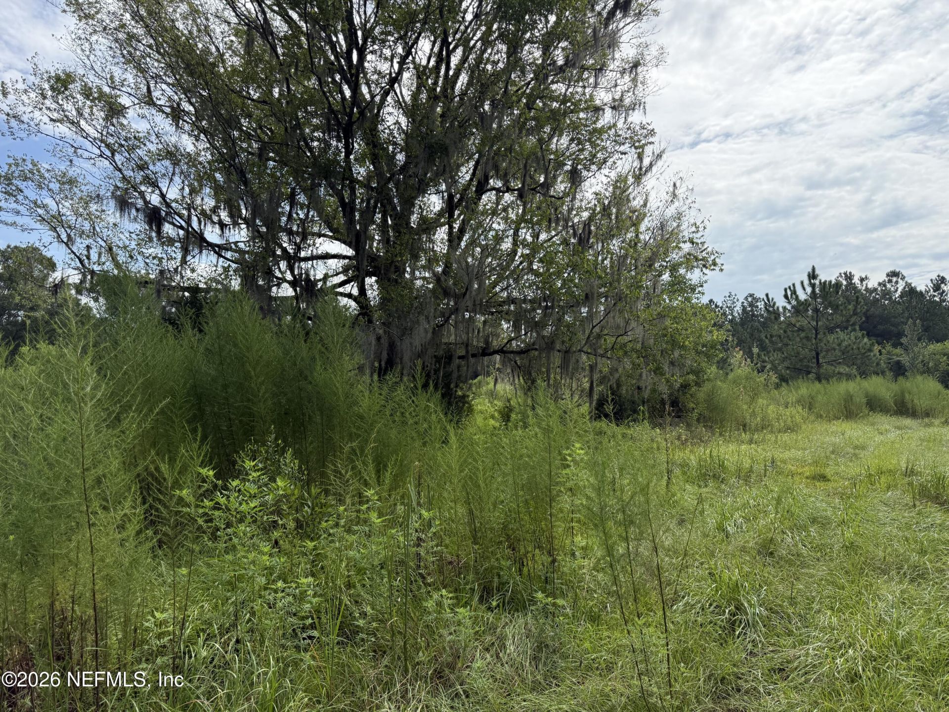 0 W Beaver Street, Jacksonville, FL 32234 Photo