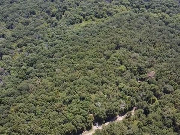 113 Triple Creek , Avery, TX 75554