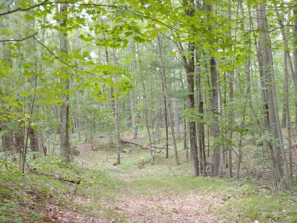 3+/- Acres S Frank Smith Road, Chase, MI 49623