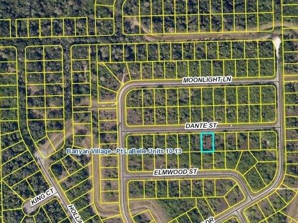 310 Dante ST , LABELLE, FL 33935